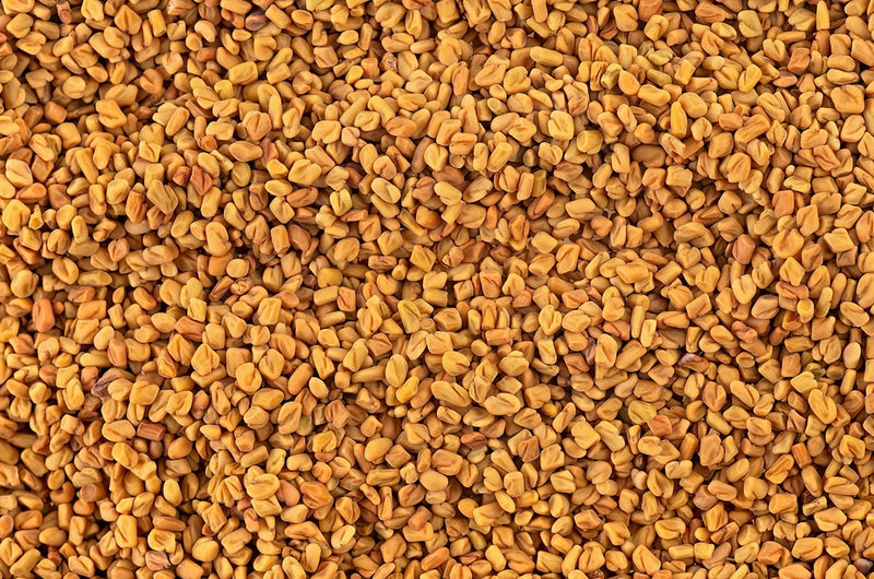 Fenugreek