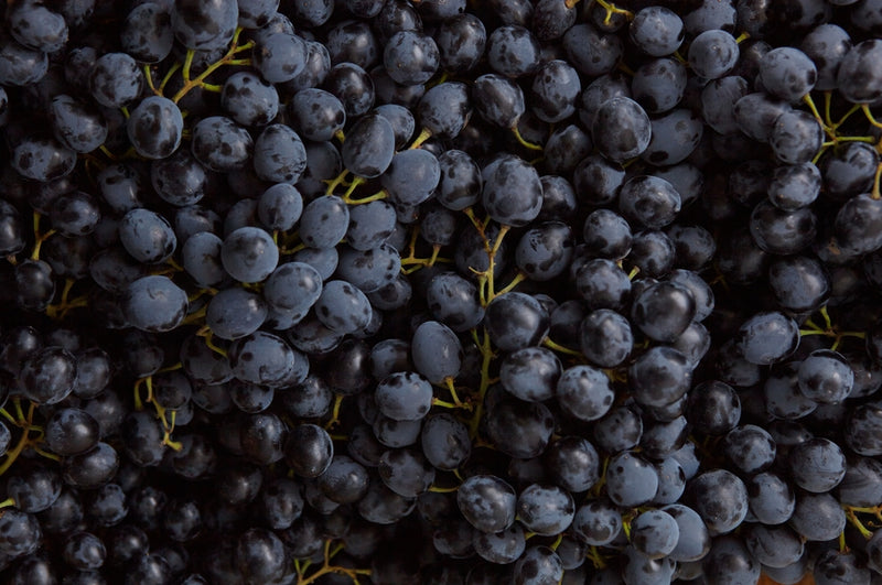 Resveratrol